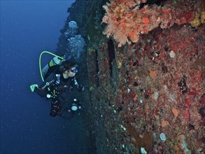 Diver looking into the porthole of the wreck of the USS Spiegel Grove, dive site John Pennekamp