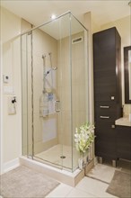 Contemporary brown laminated wood vanity and clear glass shower stall in bathroom inside a