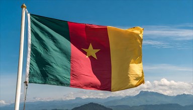 The flag of Cameroon, fluttering in the wind, isolated, against the blue sky