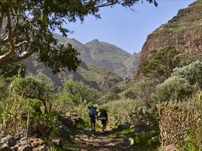 Hikers in the Barranco de Guayadeque, Gran Canaria, Spain, Europe
