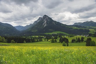 Summer austrian landscape with green meadows and impressive mountains, view from small alpine