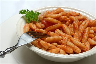 Malloreddus, Sardinian gnocchetti with tomato sauce in a plate, traditional pasta variety from