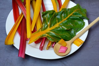 Red and yellow chard on a plate, Beta vulgaris