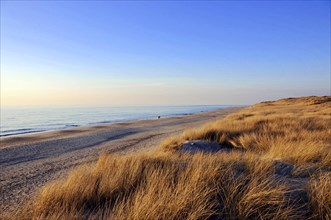 Beach 5 km south of Westerland, Sylt, North Frisian Island, Schleswig Holstein, Empty beach dunes