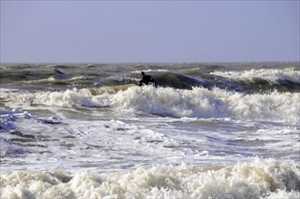 Sylt, North Frisian Island, Schleswig-Holstein, Churning, foamy waves of the sea, influenced by