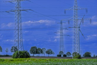 Power pylons with high-voltage lines on the K63 road with trees at the Avacon substation Helmstedt,
