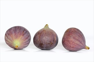 Real fig or fig tree (Ficus carica), ripe figs against a white background