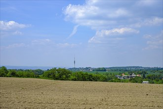 Uncultivated field on the Schoenfelder Hochland near Dresden, Saxony, Germany, in the background