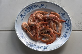 Cooked prawns on a plate, Atlantic coast, France, Europe