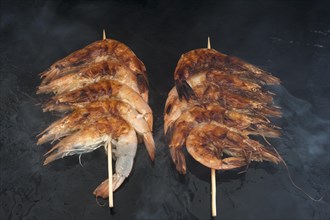 Spit-roasted prawns on a plancha, gas barbecue, Vandee, France, Europe