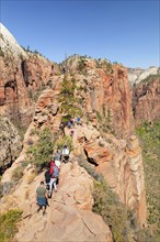 Descent from Angels Landing, Zion National Park, Colorado Plateau, Utah, USA, Zion National Park,