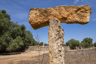 Can Garra Seca, Megalithic elements, Â«Cami de sa TorreÂ», municipality of Llucmajor, Mallorca,