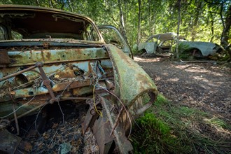 Ancient scrap cars, Kyrkoe Mosse car graveyard, Ryd, Tingsryd, Kronobergs laen, Sweden, Europe