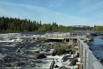 Footbridge through the rapids on the Skelleftea River, Lapland, Sweden, Scandinavia, Europe