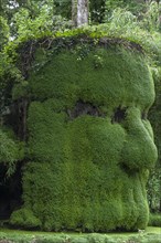 Head formed from plants in the Parc Floral et Tropical de la Court d'Aron, Saint Cyr en Talmondais,