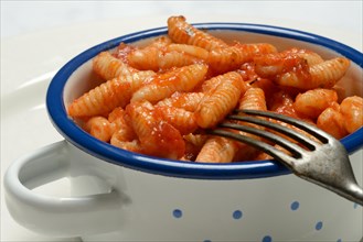 Malloreddus, Sardinian gnocchetti with tomato sauce in a bowl, traditional pasta variety from