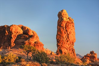 Sandstone formation at sunset, Arches National Park, Utah, USA, Arches National Park, Utah, USA,