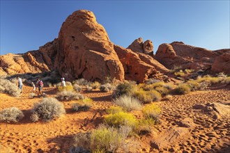 Valley of Fire State Park, Nevada, United States, USA, Valley of Fire, Nevada, USA, North America