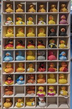 Sales shelf with squeaky ducks in a motorway restaurant, Mecklenburg-Vorpommern, Germany, Europe