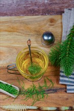 Infusion of horsetail Equisetum arvense, medicinal plant for health care with fresh branches just