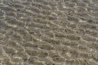 Wave pattern in shallow water, beach, texture, background, Costa Calma, Fuerteventura, Canary
