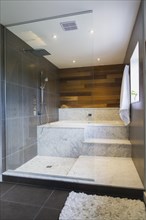 Wet room style glass shower stall with grey and white marble steps and red cedar wooden wall in