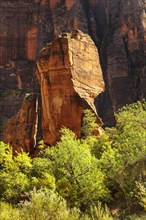Rock needle at the Temple of Sinawava, Zion National Park, Colorado Plateau, Utah, USA, Zion