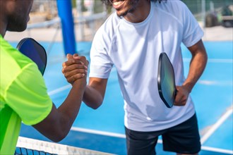 Pickleball african american male rivals shaking hands before playing a match in an outdoor court
