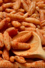 Malloreddus, Sardinian gnocchetti with tomato sauce, traditional type of pasta from Sardinia,
