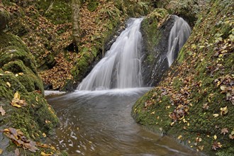 Waterfall in the autumnal Endert valley, Moselle, Rhineland-Palatinate, Germany, Europe