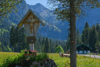 Wayside cross, crucifix, pasture, cow, mountains, alpine pasture, Bavarian Alps, Arzbach, Bavaria,