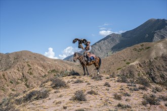 Traditional Kyrgyz eagle hunter riding with eagle in the mountains, eagle spreading its wings,