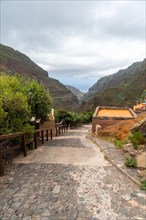 Trails that go up to the Barranco de Guayadeque in Gran Canaria, Canary Islands
