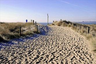 Beach path at Ellenbogen near List, Sylt, North Frisian Island, Schleswig Holstein, A sandy path