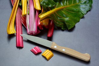 Red and yellow chard, kitchen knife and chopped stems, Beta vulgaris