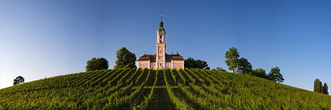 Vineyards, Birnau pilgrimage church, baroque church, exterior view, Uhldingen-Muehlhofen on Lake