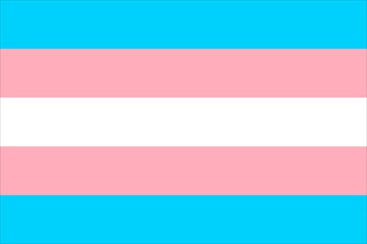Illustration of the Transgender Pride Flag. Symbol of sexual minorities