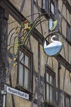 Historic nose sign from the Gasthof Zur Schwane, Baunach, Upper Franconia, Bavaria, Germany, Europe