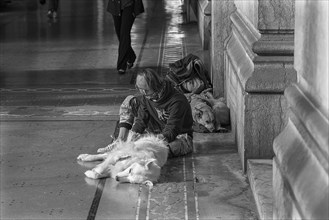 Young man sitting with two dogs in the arcades of the Old Stock Exchange, Genoa, Italy, Europe