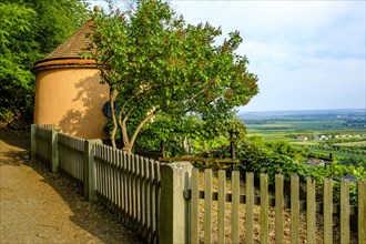 Vineyard cottage on Leitenweg in Pillnitz, Dresden, Saxony, Germany, Europe