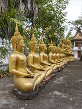 Row of golden Buddha images, Wat That Luang temple, Luang Prabang, Laos, Asia