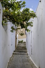 Old town alley in Lindos, Rhodes, Dodecanese archipelago, Greek islands, Greece, Europe