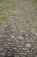 Old, cobbled stone path to the former Cistercian monastery of Pontigny, Pontigny, Bourgogne,