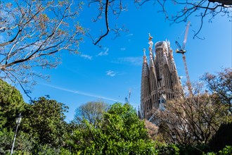 Towers of the Sagrada Familia basilica under construction, Roman Catholic basilica by Antoni Gaudi
