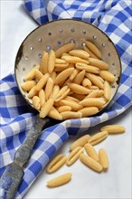 Malloreddus, Sardinian gnocchetti, traditional pasta variety from Sardinia, Italy, Europe