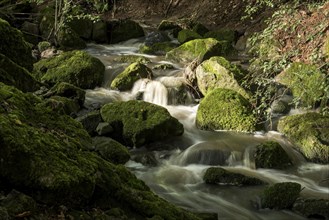 Mountain stream in the forest with mossy basalt rocks, blocks of basalt in the stream bed, Tertiary