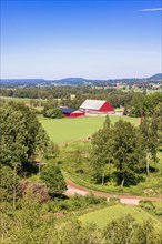 Landscape view in the countryside with a red barn and a gravel road to a farm, Sweden, Europe