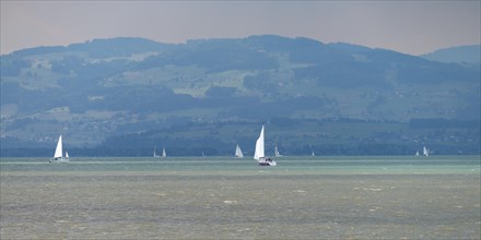 Sailing boats on the turquoise waters of Lake Constance, near Meersburg, Baden-Wuerttemberg,