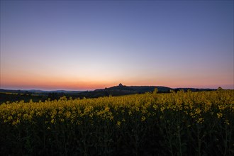 Landscape at sunrise. Beautiful morning landscape with fresh yellow rape fields in spring. Small