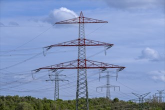 Power pylons with high-voltage lines near the Avacon substation Helmstedt, Helmstedt, Lower Saxony,